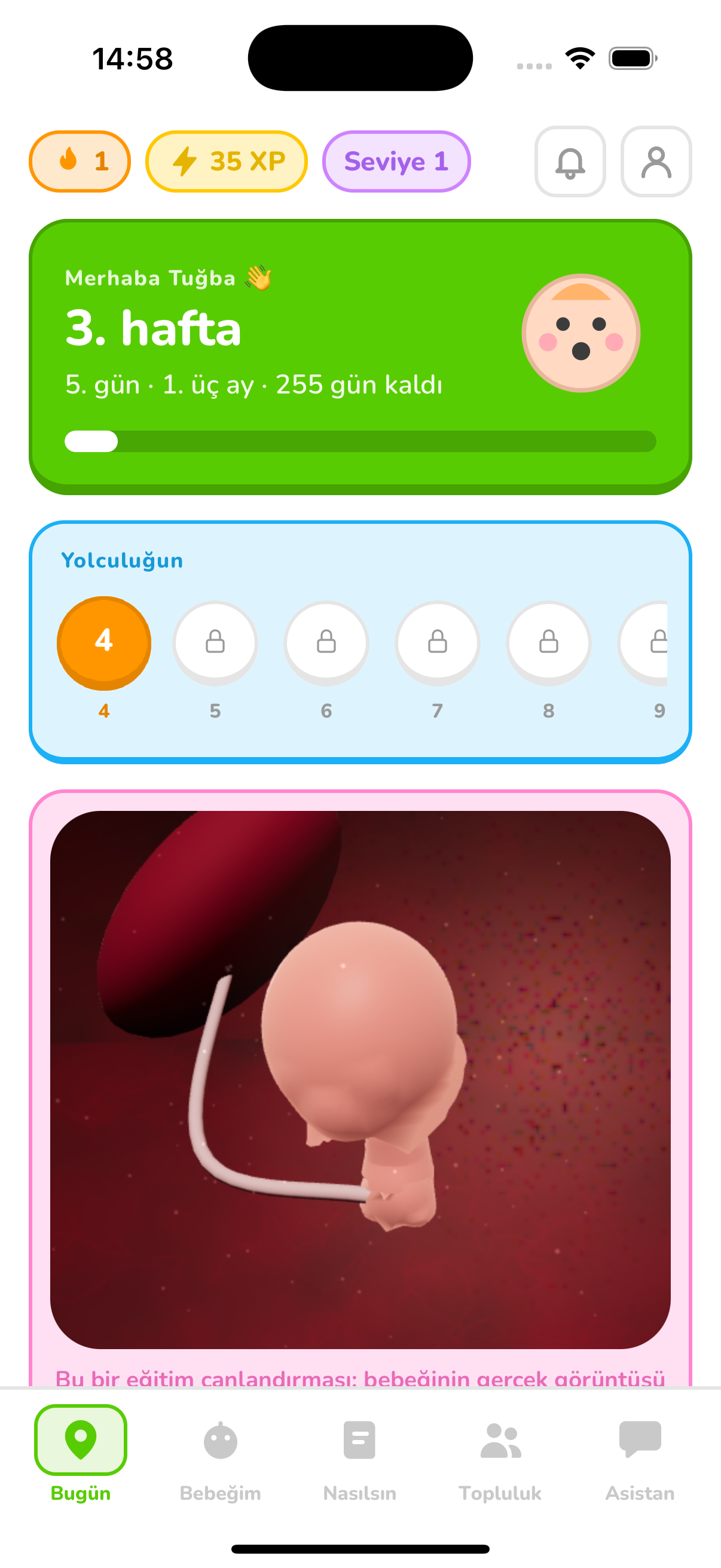 Minik Mucizem 3D Fetal Takip ve Günlük Anne Rehberi Arayüzü